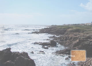 Martineau   Maindron