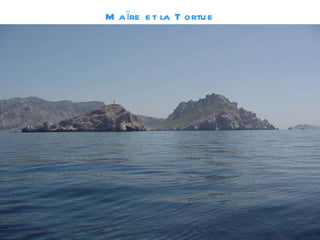 Maïre et la Tortue