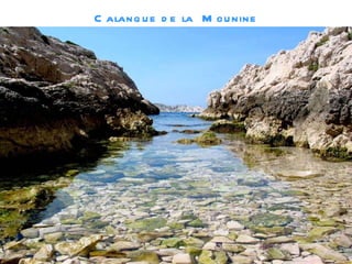 Calanque de la Mounine
