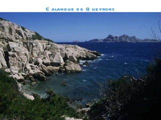 Calanque de Queyrons