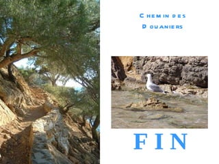 Chemin des Douaniers F I N