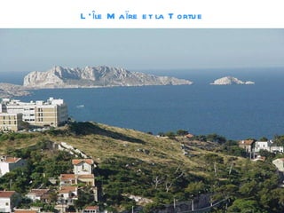 L’île Maïre et la Tortue