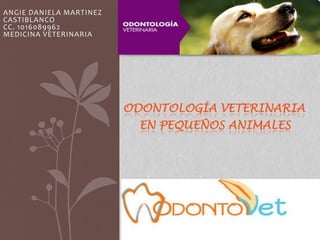 ANGIE MARTINEZ
MEDICINA VETERINARIA
ODONTOLOGÍA VETERINARIA
EN PEQUEÑOS ANIMALES
 