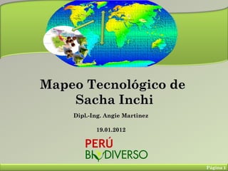 Mapeo Tecnológico de
    Sacha Inchi
    Dipl.-Ing. Angie Martinez

           19.01.2012




                                Página 1
 
