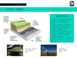 Martinez martinelli   casa h