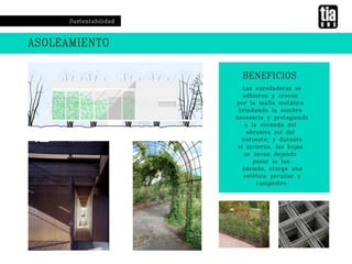 Martinez martinelli   casa h