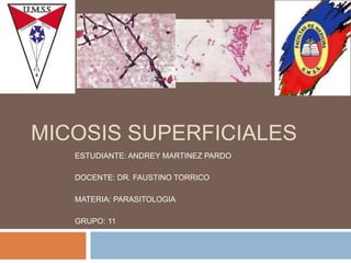MICOSIS SUPERFICIALES ESTUDIANTE: ANDREY MARTINEZ PARDO DOCENTE: DR. FAUSTINO TORRICO MATERIA: PARASITOLOGIA GRUPO: 11 