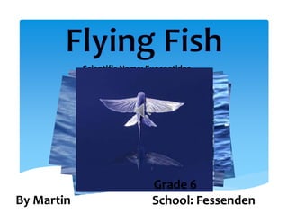 Scientific Name: Exocoetidae




                             Grade 6 
By Martin                    School: Fessenden
 