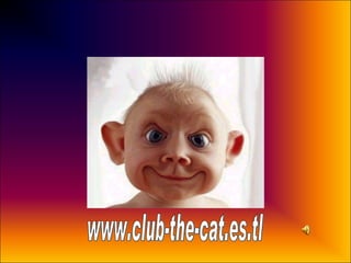 www.club-the-cat.es.tl 