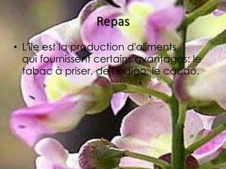 Repas
• L'île est la production d'aliments
  qui fournissent certains avantages: le
  tabac à priser, de l'indigo, le cacao.
 