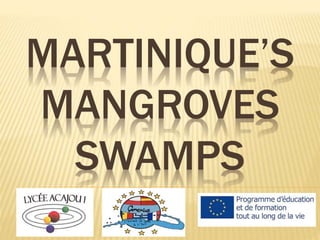 MARTINIQUE’S
MANGROVES
SWAMPS
 