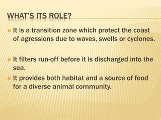 WHAT’S ITS ROLE?
 It is a transition zone which protect the coast
of agressions due to waves, swells or cyclones.
 It filters run-off before it is discharged into the
sea.
 It provides both habitat and a source of food
for a diverse animal community.
 