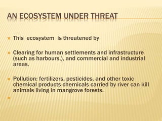 AN ECOSYSTEM UNDER THREAT
 This ecosystem is threatened by
 Clearing for human settlements and infrastructure
(such as harbours,), and commercial and industrial
areas.
 Pollution: fertilizers, pesticides, and other toxic
chemical products chemicals carried by river can kill
animals living in mangrove forests.

 