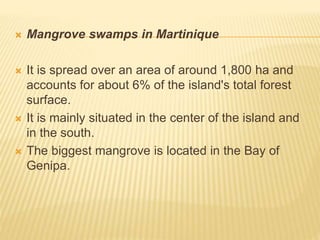 Mangrove swamps in Martinique
 It is spread over an area of around 1,800 ha and
accounts for about 6% of the island's total forest
surface.
 It is mainly situated in the center of the island and
in the south.
 The biggest mangrove is located in the Bay of
Genipa.
 