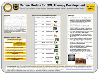 All Types
of NCL
Canine Models for NCL Therapy Development
Martin L. Katz and Gary S. Johnson, School of Medicine and College of Veterinary Medicine, University of Missouri
Introduction:
Dog models for the neuronal ceroid lipofuscinoses (NCLs or
Batten disease) will be useful for evaluating the efficacy of
potential therapeutic interventions for treating these diseases.
The NCLs result from mutations in at least 13 different genes.
Different approaches to therapy are going to be required to
treat the different forms of NCL. Therefore, it will be important
to have suitable animal models for each of the forms of NCL.
A dog model for the CLN2 form of Batten disease played a
critical role in the development of an effective enzyme
replacement therapy currently being used to treat children with
this disorder. This has proven the utility of dog models in pre-
clinical studies required before approval can be obtained for
conducting human clinical trials. Our goal is to develop dog
models for each of the forms of NCL that can be used for
therapeutic intervention testing in preparation for conducting
human clinical trials.
Acknowledgements: This work was made possible by the many dog owners who contributed samples from their pets and the veterinarians who collected postmortem tissues. Numerous
research personnel contributed to the disease characterizations and mutation identifications. Among them are Tomoyuki Awano, Douglas Sanders, Dennis O’Brien, Liz Hansen, Fabiana
Farias, Jenny Guo, Douglas Gilliam, and Ana Kolicheski. Others who contributed to this work are listed on the laboratory website http://medicine.missouri.edu/neurodegenerativediseases/publications.php
Support for some of this work was provided by the BDSRA and the American Kennel Club Canine Health Foundation.
Establishing Canine NCL Models:
Naturally occurring canine NCLs identified to date: Significance:
• A Dachshund model for the CLN2 form of NCL
was used to demonstrate the efficacy of enzyme
replacement therapy that resulted in the recent
successful completion of human clinical trials of
this treatment in children by BioMarin
Pharmaceutical.
• Using this same model, gene therapy to the
central nervous system was also found to be
effective in treating this disease. This method of
treatment may be tested in children in the future.
• Currently we have preserved canine semen for the
CLN2 and CLN5 forms of Batten disease.
• We are screening dogs with the other forms of
NCL to obtain semen as a resource for breeding
affected dogs.
• We also continue to search for dogs with different
forms of NCL that correspond to the remaining
forms of NCL. We have DNA samples from
several other dog breeds with NCL for which we
are seeking to causative mutation.
• We plan to establish a canine NCL models
resource center that will be able to generate dogs
affected with each of the forms of NCL.
• We developed a panel of biomarkers of NCL
disease progression in dogs that can be used in
testing for the therapeutic efficacy of treatments
using the dog models.
 