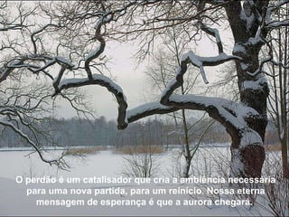 O perdão é um catalisador que cria a ambiência necessária para uma nova partida, para um reinício. Nossa eterna mensagem de esperança é que a aurora chegará.  