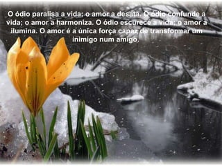 O ódio paralisa a vida; o amor a desata. O ódio confunde a vida; o amor a harmoniza. O ódio escurece a vida; o amor a ilumina. O amor é a única força capaz de transformar um inimigo num amigo.  