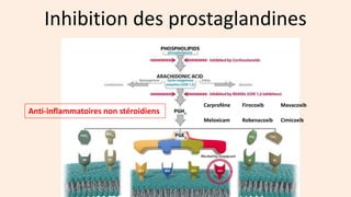 Autres anti-prostaglandines
Production de PGE2 dans des chondrocytes félins activés par des lipoplysaccharide (LPS)
La com...