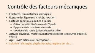 Dr. S. Martinod FranceVet Slide 9