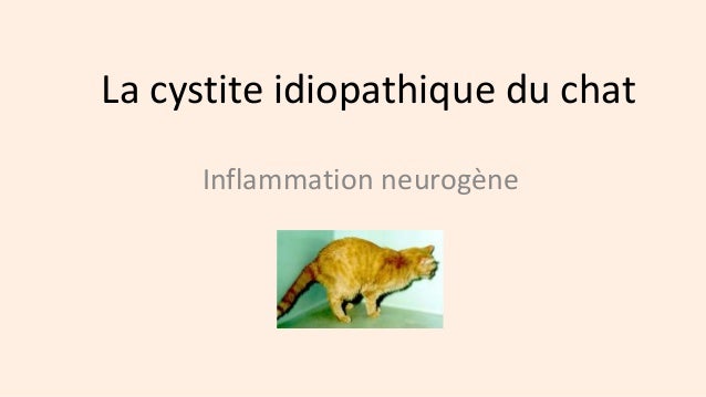 Dr S Martinod Francevet Dr S Martinod Francevet