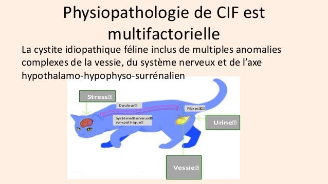 Dr S Martinod Francevet Dr S Martinod Francevet
