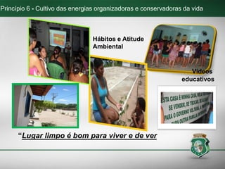 Princípio 6 - Cultivo das energias organizadoras e conservadoras da vida
Vídeos
educativos
“Lugar limpo é bom para viver e de ver
Hábitos e Atitude
Ambiental
 