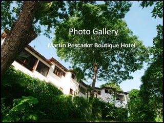 Martin Pescador Boutique Hotel
 