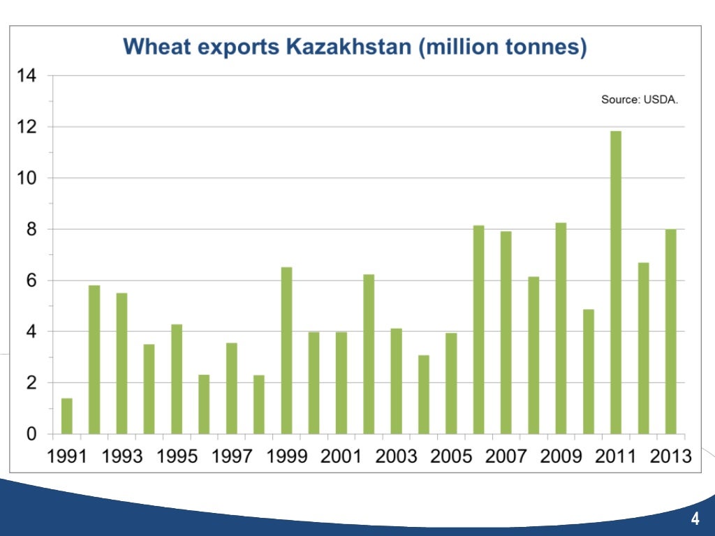 Kazakhstan’s agricultural development strategy Capital subsidies vs.…