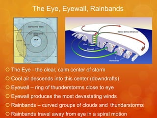 The Eye, Eyewall, Rainbands

 The Eye - the clear, calm center of storm
 Cool air descends into this center (downdrafts)
 Eyewall – ring of thunderstorms close to eye
 Eyewall produces the most devastating winds
 Rainbands – curved groups of clouds and thunderstorms
 Rainbands travel away from eye in a spiral motion

 