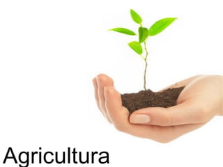 Agricultura Sustentável 