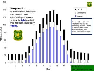0
20
40
60
80
100
120
140
160
1 3 5 7 9 11 13 15 17 19 21 23
Hour
VOCEmission(kg)
OVOCs
Monoterpenes
Isoprene
Isoprene:
•a mechanism that trees
use to overcome
overheating of leaves
•a way to fight against
free radicals, especially
ozone.
Dr. David Nowak
USDA Forest Service, NRS
Trees produce Isoprene.
The hotter the hour the
more they produce ( X axis
is military 24 hour time).
Humans benefit from
urban trees fighting ozone.
 