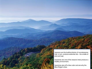 Isoprene are the building blocks of monoterpenes
that, in turn, produce essential oils – the smells of
pine and sap.
Isoprenes are one of the reasons trees produce a
healthy environment.
Isoprenes give off a blue color and are why the
Blue Ridge is blue.
 