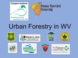 Urban Forestry in WV
 