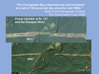 “The Chesapeake Bay watershed has lost forestland
at a rate of 100 acres per day since the mid-1980s.”
State of the Chesapeake Forests
The Conservation Fund, 2006
Power corridor at Rt. 127
and the Cacapon River.
2011
2007
 