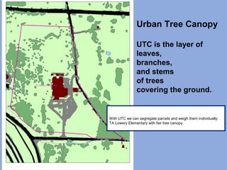 Urban Tree Canopy
UTC is the layer of
leaves,
branches,
and stems
of trees
covering the ground.
With UTC we can segregate parcels and weigh them individually:
TA Lowery Elementary with fair tree canopy.
 