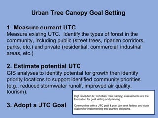 Urban Tree Canopy Goal Setting
1. Measure current UTC
Measure existing UTC. Identify the types of forest in the
community, including public (street trees, riparian corridors,
parks, etc.) and private (residential, commercial, industrial
areas, etc.)
2. Estimate potential UTC
GIS analyses to identify potential for growth then identify
priority locations to support identified community priorities
(e.g., reduced stormwater runoff, improved air quality,
tourism).
3. Adopt a UTC Goal
High resolution UTC (Urban Tree Canopy) assessments are the
foundation for goal setting and planning.
Communities with a UTC goal & plan can seek federal and state
support for implementing tree planting programs.
 