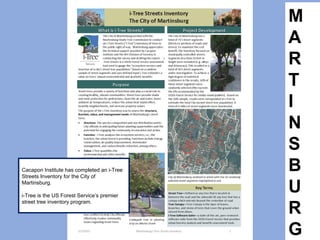 M
A
R
T
I
N
S
B
U
R
G
Cacapon Institute has completed an i-Tree
Streets Inventory for the City of
Martinsburg.
i-Tree is the US Forest Service’s premier
street tree inventory program.
 