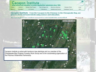 Cacapon Institute is active with hands-on tree plantings and is a member of the
Chesapeake Bay Program Forestry Work Group and is the coordinating organization of
the Potomac Watershed Partnership.
 