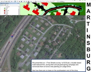 M
A
R
T
I
N
S
B
U
R
G
We presented our i-Tree Streets survey to ECOLab, a locally based
multi-national firm, during their annual grant-giving campaign and
convinced them to fund a tree planting on Ledge Drive.
See how there are no trees on the southeastern end of the drive.
 