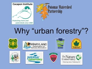 Why “urban forestry”?
 