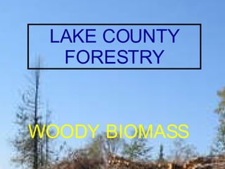 LAKE COUNTY  FORESTRY DEPARTMENT WOODY BIOMASS LAKE COUNTY FORESTRY WOODY   BIOMASS 