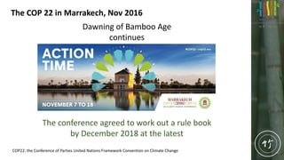 MartinTam_Bamboo for the 21st Century | PDF
