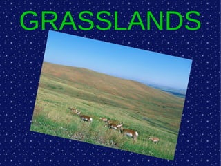 GRASSLANDS
 