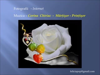 Fotografii - Internet
Muzica – Corina Chiriac - Mărţişor - Prinţişor
feliciapop@gmail.com
 