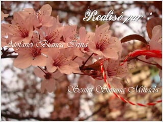 Realise par :
Atofanei Bianca Irina



               Sentes Simona Mihaela
                    ,
 