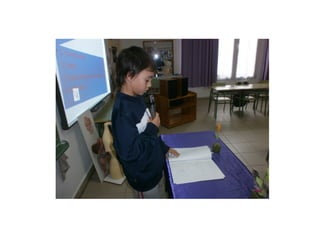 Marti triangle bermudes