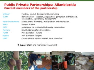 Forests, Trees and Agroforestry