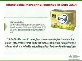 Forests, Trees and Agroforestry