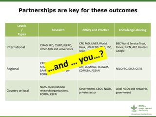 Forests, Trees and Agroforestry