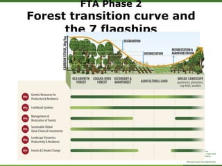 Forests, Trees and Agroforestry